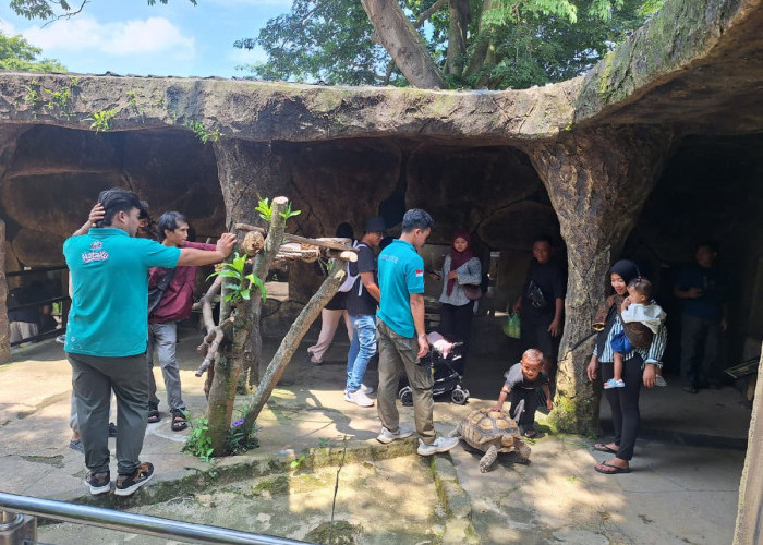 Zoonderland Semarang Zoo Jadi Magnet Libur Nataru 2025/2026, Sajikan Hiburan Keluarga hingga Forest Track