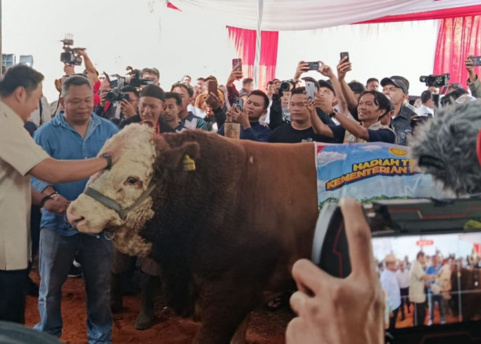 Hadiri Kontes APPSI Wonosobo, Wamentan Sudaryono : Jadi Pemicu Kemajuan Peternakan