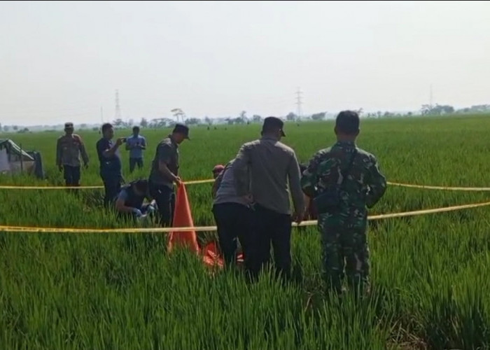 Perangkat Desa Kalipancur Ditemukan Tewas di Sawah, Jasad Penuh Lumpur