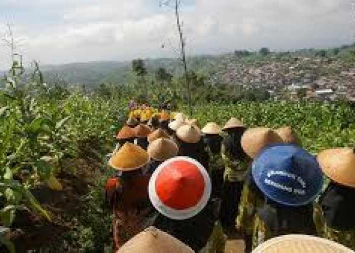 Wiwitan, Tradisi Petani Tembakau di Temanggung