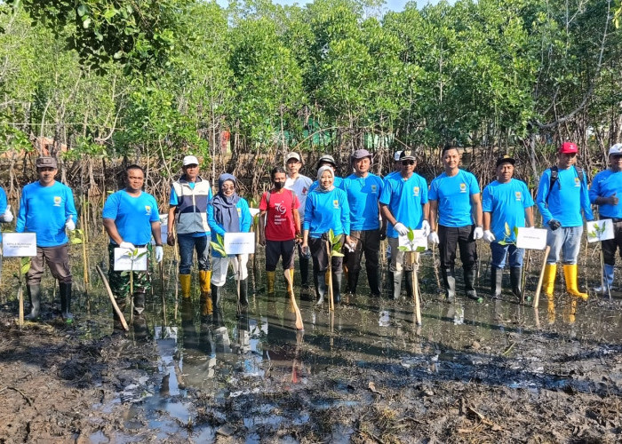 Pesisir Batang Terkikis Abrasi 200 meter, 117 Ribu Mangrove Disiapkan Jadi Tameng Alam