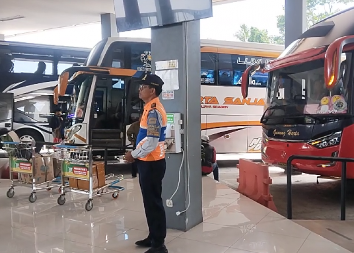 Dishub Salatiga Layangkan Surat ke Kemenhub RI Minta PO Bus AKAP Melanggar Izin Trayek Ditegur