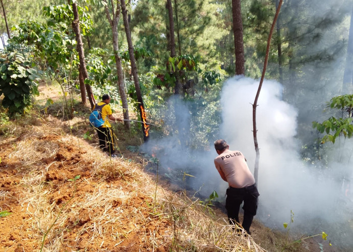 Hutan Pinus Karanggayam Kebumen Terbakar, Pemadaman Secara Manual 