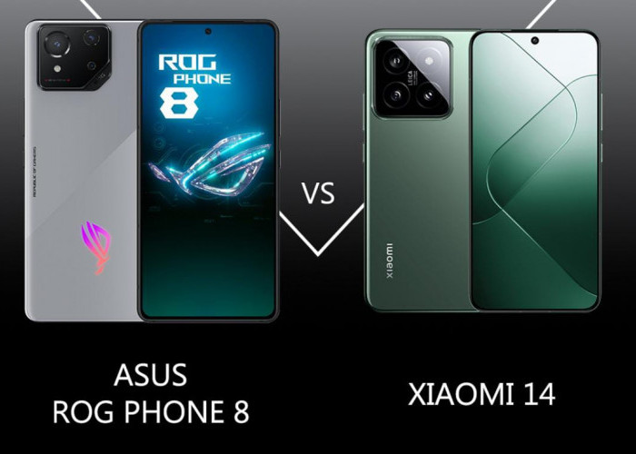 Asus ROG Phone 8 Vs Xiaomi 14, Manakah yang Lebih Unggul?