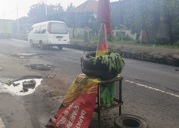 Warga Batang Buat Penanda Jalan Berlubang di Pantura dari Kandang Unggas