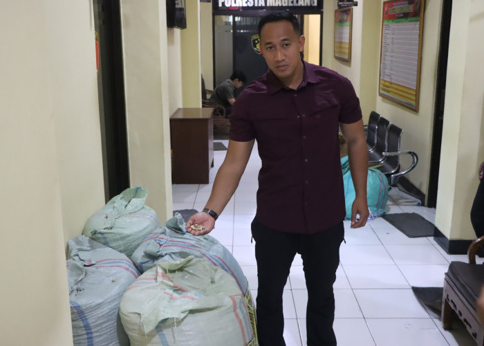 Terdesak Utang, Pekerja Bangunan di Magelang Curi Ratusan Kilogram Kapulaga Milik Majikan