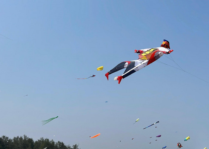 Ribuan Layang-Layang Hiasi Langit Pantai Ketawang, Festival Nasional 2026 Dongkrak Ekonomi Purworejo