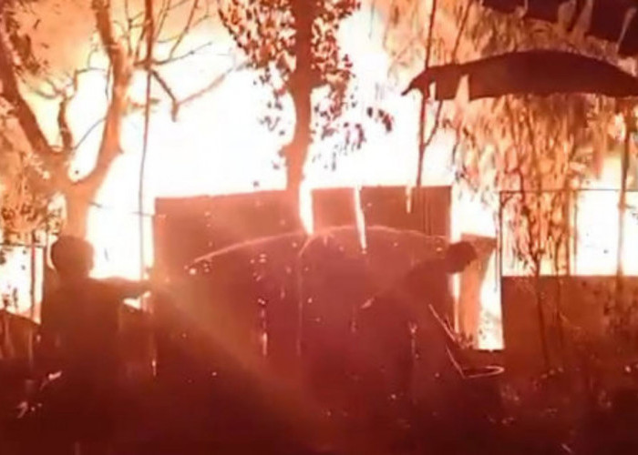 Gudang Kayu di Tembalang Semarang Ludes Terbakar, Atap Bangunan Ambruk, Tidak Ada Korban Jiwa