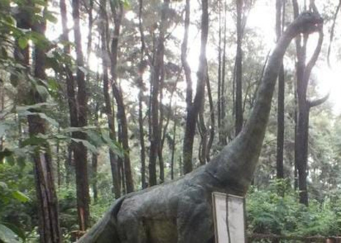 Dino Park Soko Langit: Sensasi Hutan Pinus di Pekalongan