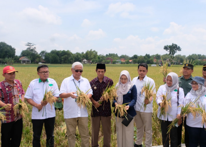 Tindak Lanjuti Intruksi Presiden, Perum Bulog Sosialisasi HPP Gabah di Sragen