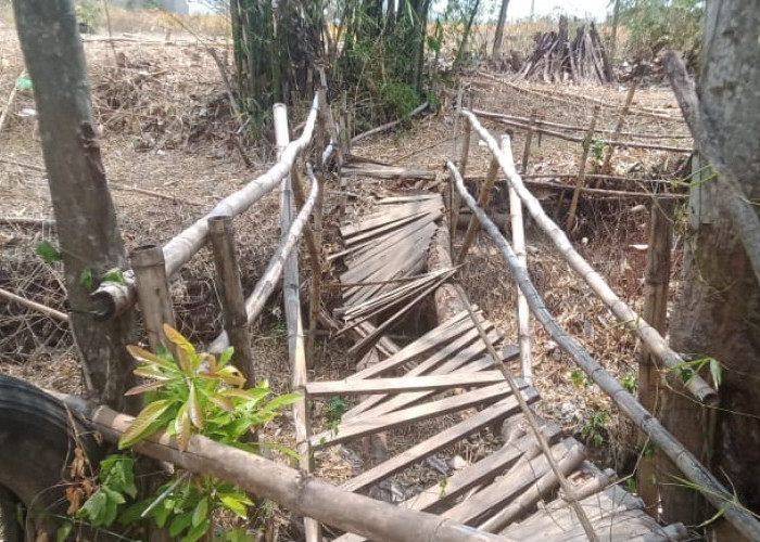 Jembatan di Desa Kabunan Kabupaten Tegal Ambruk, Ketua Fraksi PDI Perjuangan Bilang Begini