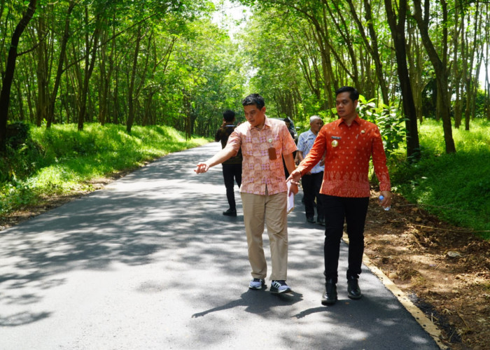 Ruas Jalan ke Benteng Portugis dan Tempur Jadi Mulus, Perkuat Konektivitas dan Pariwisata di Jepara Utara