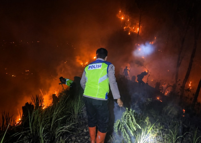 1,5 Hektare Lahan Perhutani di Karanggayam Kebumen Terbakar