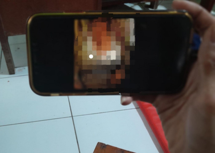 Polisi Lakukan Penyelidikan di Rumah Tersangka Kasus Video Porno Demak