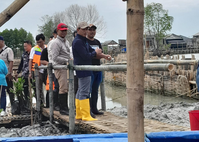 Perkuat Ketahanan Pesisir, Menteri LH : Target Tanaman 700 Hektare Mangrove di Demak