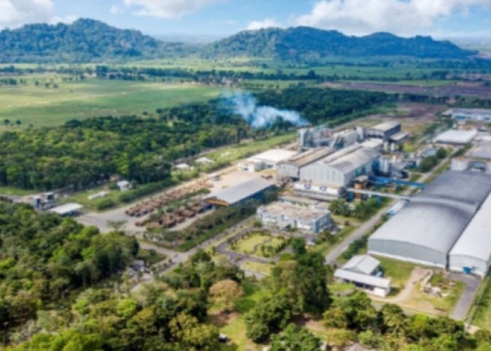 Kinerja Semester I 2026 Positif, SGN Perkuat Akselerasi Produktivitas dan Transformasi Perusahaan