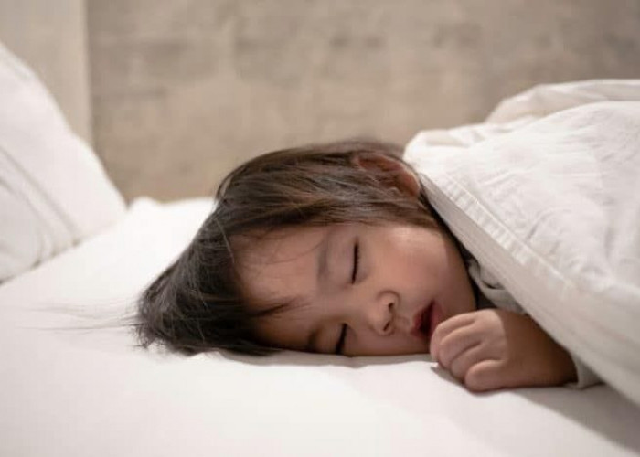 Mengapa Anak Kecil Perlu Tidur Siang si?? Apa manfaatnya bagi Anak