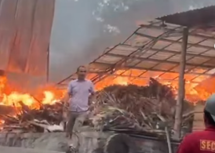 Pabrik Tripleks di Musuk Boyolali Ludes Terbakar