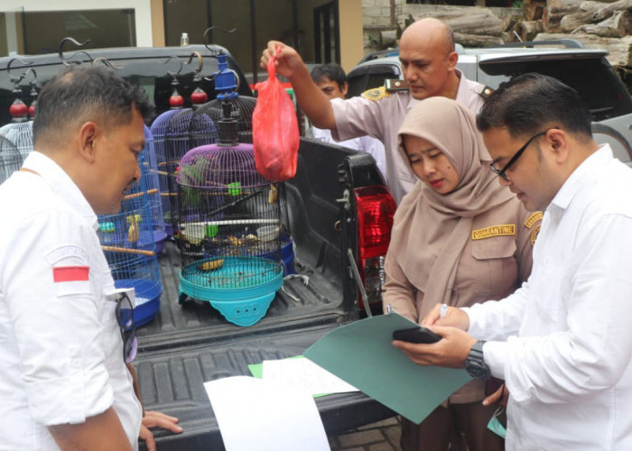 Karantina Jateng Gagalkan Penyelundupan 15 Burung dari Kalimantan di Pelabuhan Tanjung Emas