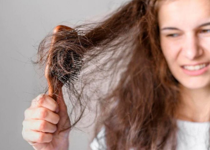 Terbukti Efektif Sehatkan Rambut, Berikut Cara Mengatasi Rambut Rontok dan Kenali Penyebabnya