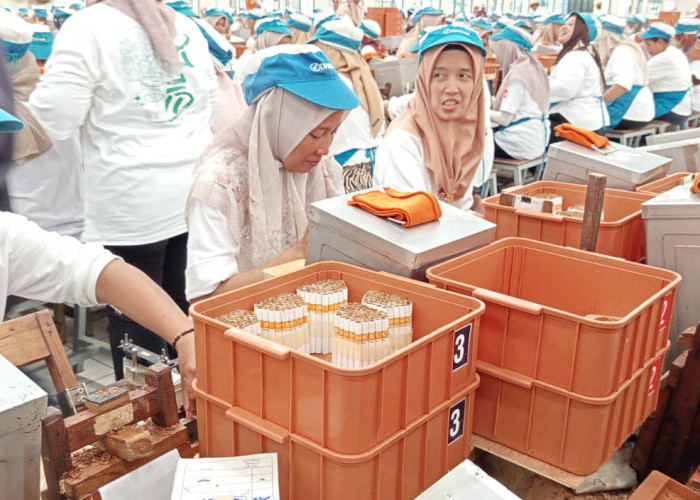 Lima Kabupaten di Wilayah Kerja Bea Cukai Kudus Ditarget Rp44 Triliun