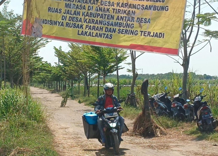 Kecewa Tak Kunjung Diperbaiki, Warga Losari Pasang Spanduk Protes dan Tanam Pohon Pisang di Jalan Rusak 