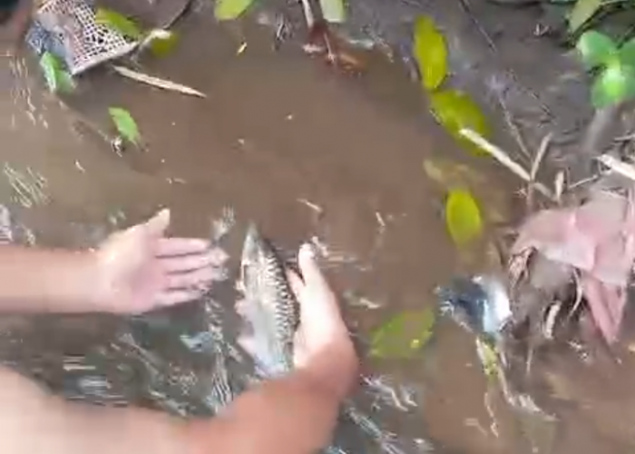Sungai Serang Tercemar Misterius, Warga dan Babinsa Desak Usut Tuntas Pembuang Limbah