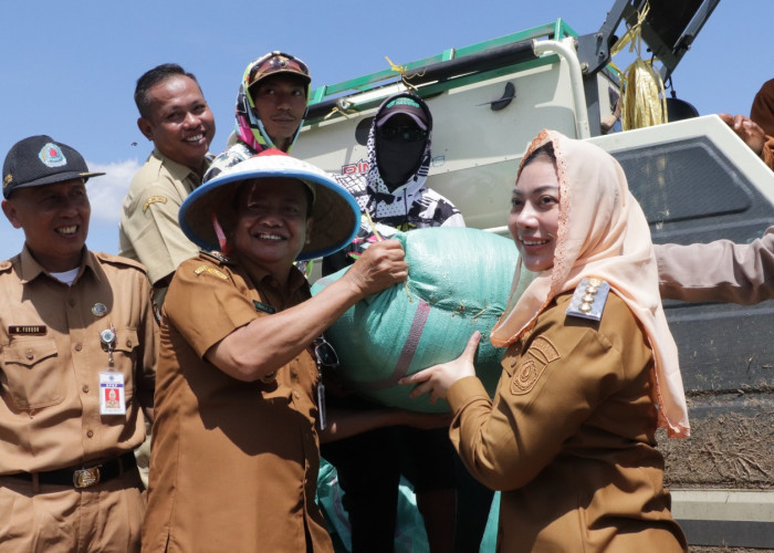Produksi Padi Brebes Tembus 605Ribu Ton, HPP Rp6.500 Dorong Kesejahteraan Petani dan Ketahanan Pangan Nasional