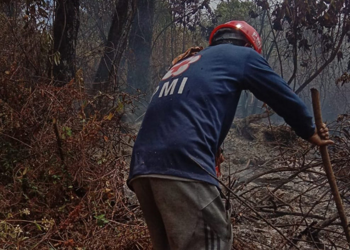 Alhamdulillah, Kebakaran di Hutan Gunung Slamet Kabupaten Tegal Akhirnya Bisa Padam