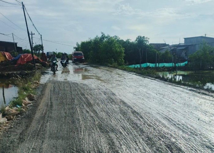Jalan Demak-Moro Rusak Parah Terendam Banjir, Alokasi Anggaran Pusat Gagal Turun