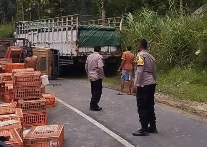 Truk Bermuatan Empat Ton Ayam Terguling di Jalur Pati Purwodadi, Ini Penyebabnya