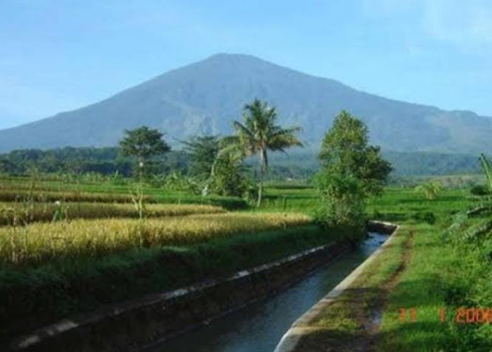 Inilah 10 Tempat Wisata Alam di Sekitar Cirebon, Cocok Untuk Tujuan Liburan Anda