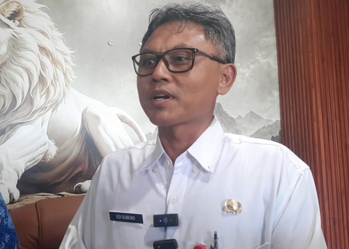 Dituduh Ancam Pengusaha Karaoke Pasar Dargo, Dinas Perdagangan Semarang Jelaskan Duduk Perkaranya