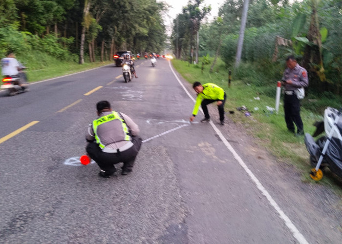 Yamaha R15 VS Yamaha Nouvo Adu Banteng di Jalan Raya Balapulang, 2 Pengendara Motor Tewas  