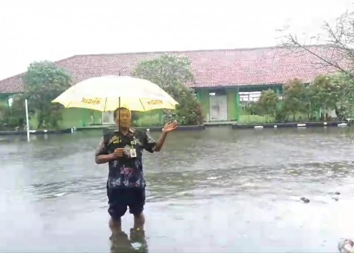 Langganan Banjir! Puluhan Sekolah di Demak Terdampak, Siswa Terpaksa Daring