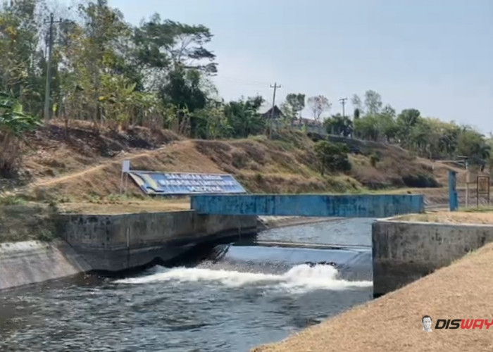 Kemarau Meluas ke Dataran Rendah Kebumen, Bendung Pejengkolan Salurkan Air untuk Ribuan Hektare Sawah