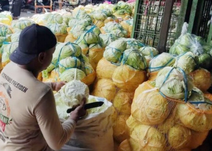 Kubis Tidak Termasuk Barang Kebutuhan Pokok yang Diawasi Diskoperindag Kabupaten Pemalang 