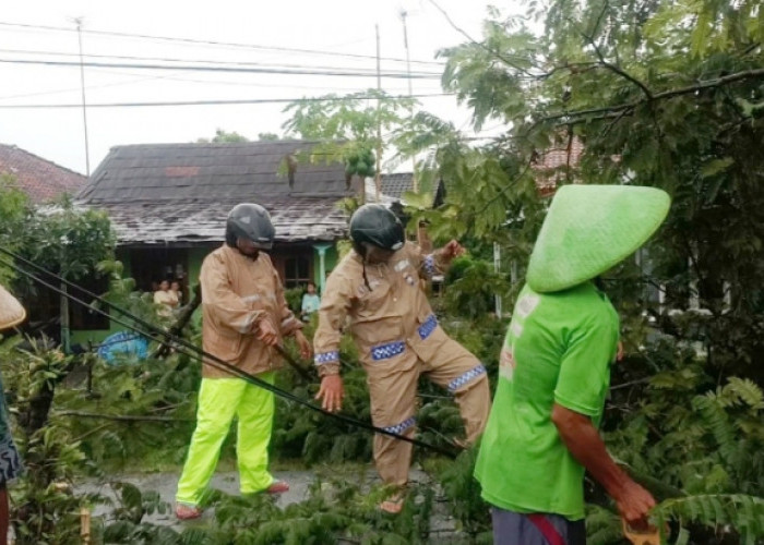Personel Polres Pemalang dan Warga Evakuasi Pohon Tumbang