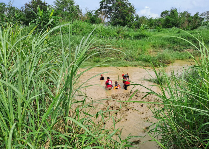 Pulang dari Kebun, Warga Warureja Hanyut di Sungai Rambut Kabupaten Tegal 