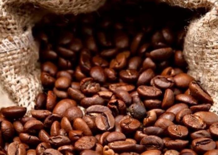 mengenal 10 karakteristik kopi terkenal di dunia dan Indonesia