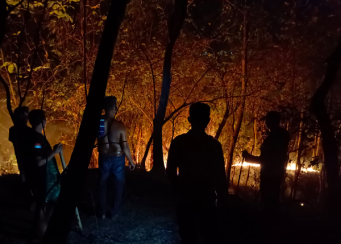 Kebakaran Lahan Ilalang di Wonosegoro Boyolali Sempat Bikin Warga Panik, Api Berhasil Dipadamkan