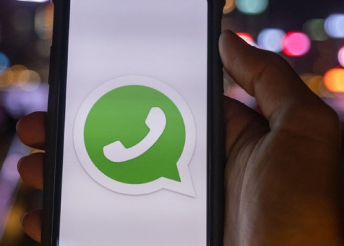 3 Cara Mengetahui Nomor WhatsApp Anda Tersimpan atau Tidak