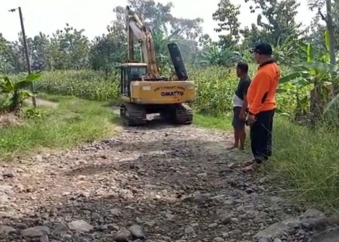Jalan Rusak di Jatinegara Kabupaten Tegal, Warga Terpaksa Perbaiki Pakai Uang Pribadi