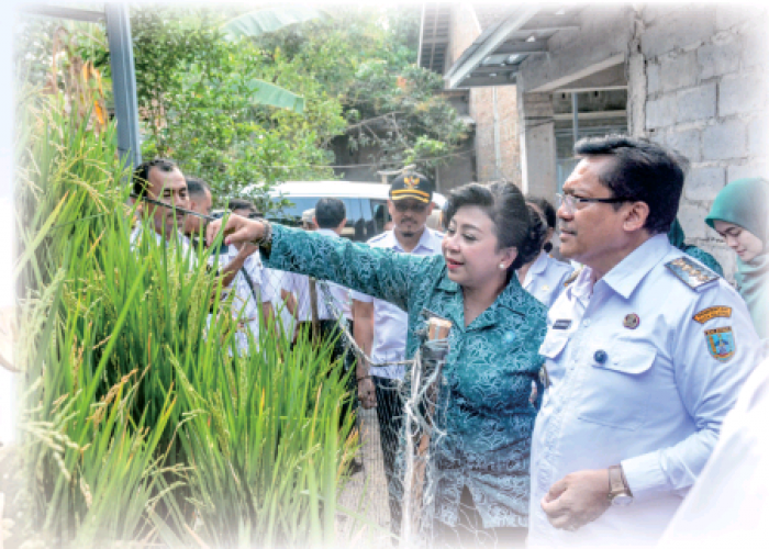 Lumbung Pangan Skala Kecil, Robby Hernawan Kuatkan Ketahanan Pangan di Salatiga Lewat Galon Bekas Panen Beras