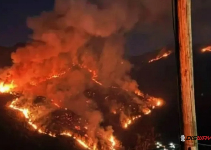 Kebakaran Hutan di Gunung Sumbing, 33 Pendaki Menunggu Penjemputan dan Jalur Kalikajar Ditutup
