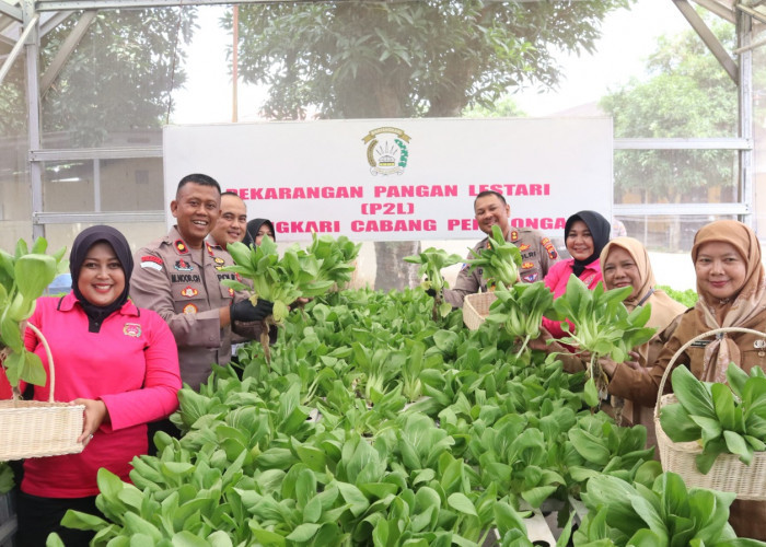 Polres Pekalongan Luncurkan Program Pekarangan Pangan Lestari dengan Tanam Sayur dan Budidaya Ikan