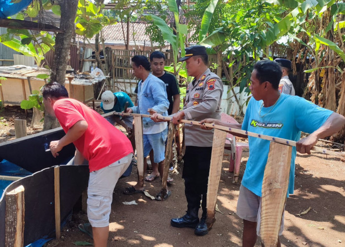 Cegah Perjudian, Polsek Dukuhseti Gerebek dan Bubarkan Arena Uji Coba Tarung Ayam
