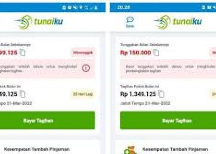 Gampang Cair, Inilah 7 Daftar Pinjol Legal Bunga Rendah dan Tenor Panjang, Solusi Terbaik Untukmu