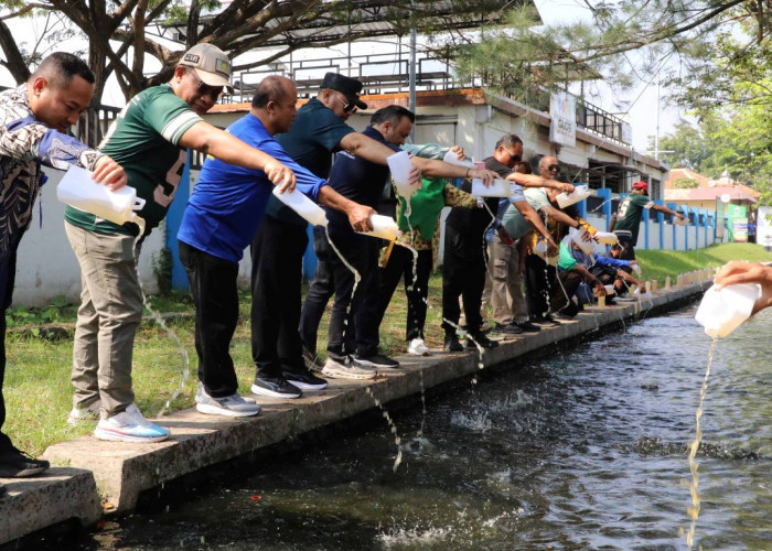 Penjernihan Sungai dengan Eco Enzim di Tegal, Wujud Sinergi Perguruan Tinggi dan Pemkot