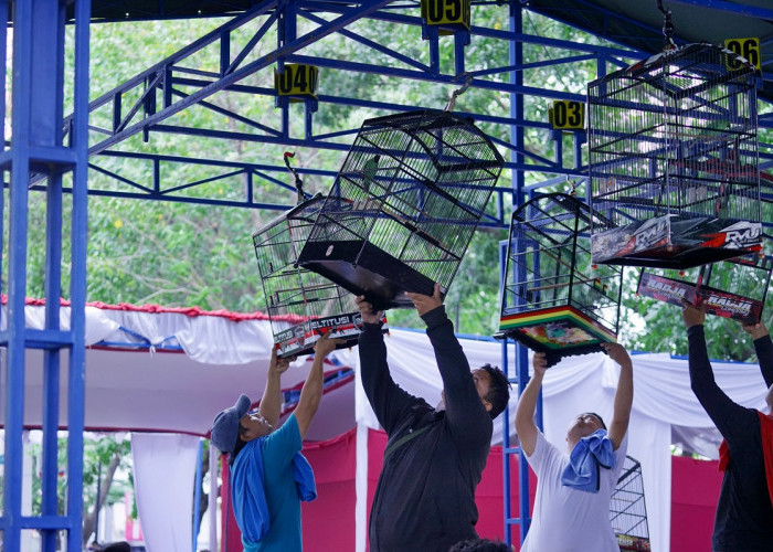 Melestarikan Fauna, 700 Peserta Berebut Kejuaraan Bergengsi Lomba Burung Piala Sepoooor 4